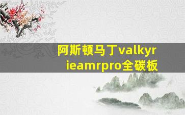 阿斯顿马丁valkyrieamrpro全碳板