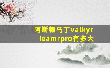 阿斯顿马丁valkyrieamrpro有多大