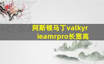 阿斯顿马丁valkyrieamrpro长宽高