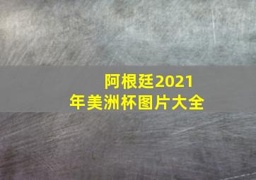 阿根廷2021年美洲杯图片大全