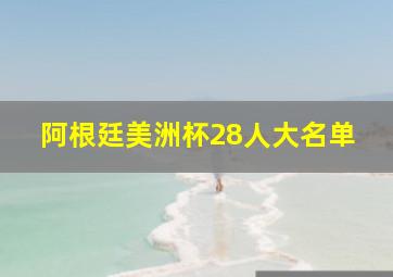 阿根廷美洲杯28人大名单