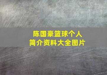 陈国豪篮球个人简介资料大全图片