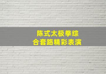 陈式太极拳综合套路精彩表演