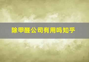 除甲醛公司有用吗知乎