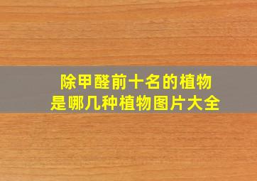 除甲醛前十名的植物是哪几种植物图片大全