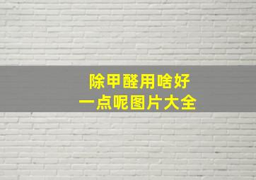 除甲醛用啥好一点呢图片大全