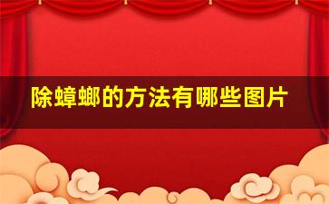 除蟑螂的方法有哪些图片