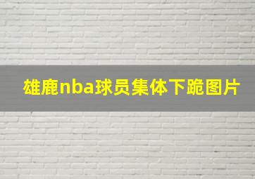 雄鹿nba球员集体下跪图片