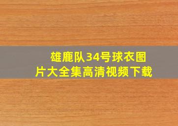 雄鹿队34号球衣图片大全集高清视频下载