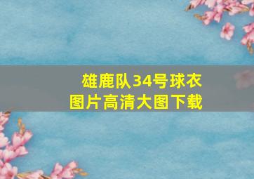 雄鹿队34号球衣图片高清大图下载