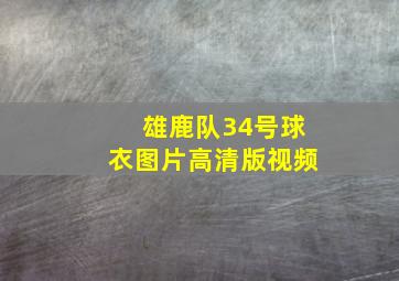 雄鹿队34号球衣图片高清版视频