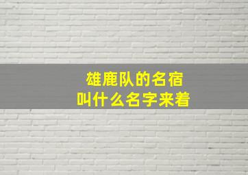 雄鹿队的名宿叫什么名字来着