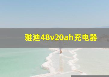 雅迪48v20ah充电器