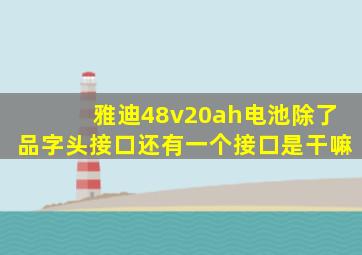 雅迪48v20ah电池除了品字头接口还有一个接口是干嘛