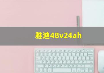 雅迪48v24ah