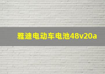 雅迪电动车电池48v20a