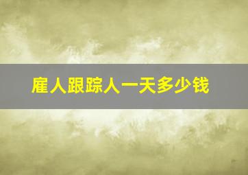 雇人跟踪人一天多少钱