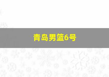 青岛男篮6号