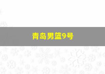 青岛男篮9号