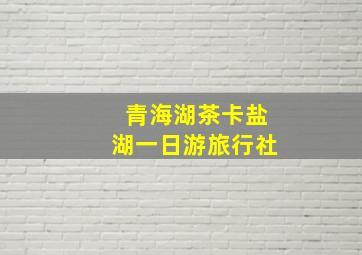 青海湖茶卡盐湖一日游旅行社