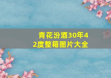 青花汾酒30年42度整箱图片大全