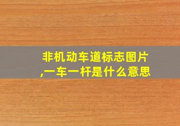 非机动车道标志图片,一车一杆是什么意思