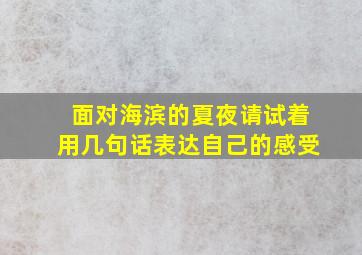 面对海滨的夏夜请试着用几句话表达自己的感受