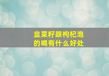 韭菜籽跟枸杞泡的喝有什么好处