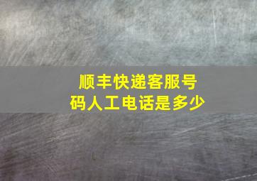 顺丰快递客服号码人工电话是多少