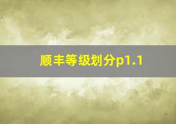 顺丰等级划分p1.1