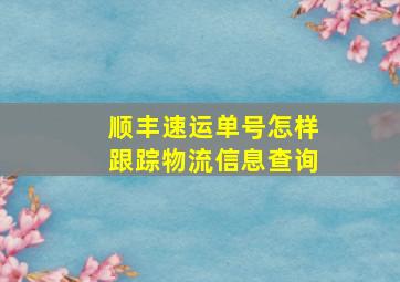 顺丰速运单号怎样跟踪物流信息查询