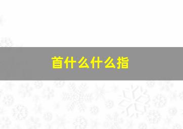 首什么什么指