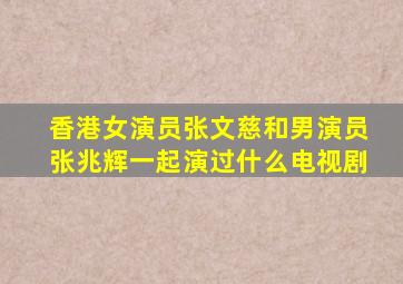 香港女演员张文慈和男演员张兆辉一起演过什么电视剧