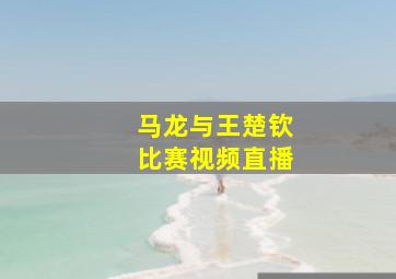 马龙与王楚钦比赛视频直播