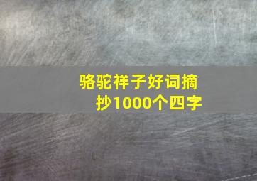 骆驼祥子好词摘抄1000个四字