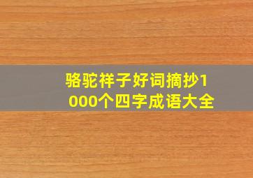 骆驼祥子好词摘抄1000个四字成语大全