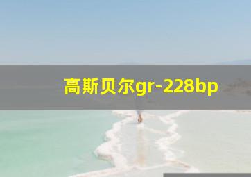 高斯贝尔gr-228bp