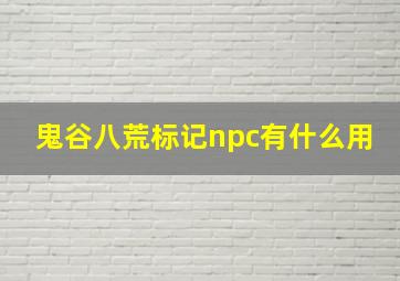 鬼谷八荒标记npc有什么用