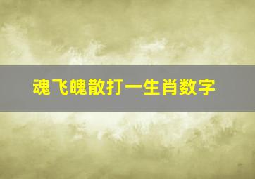 魂飞魄散打一生肖数字