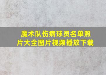 魔术队伤病球员名单照片大全图片视频播放下载