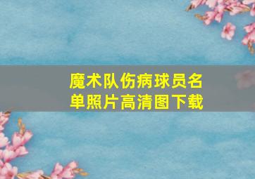 魔术队伤病球员名单照片高清图下载