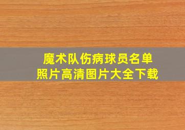 魔术队伤病球员名单照片高清图片大全下载