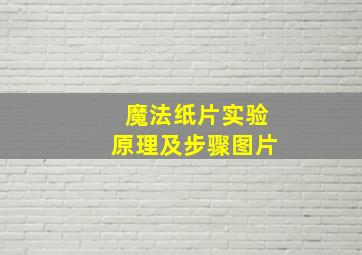 魔法纸片实验原理及步骤图片