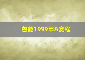 鲁能1999甲A赛程