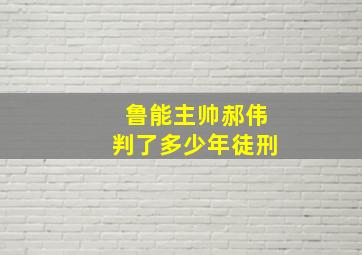 鲁能主帅郝伟判了多少年徒刑