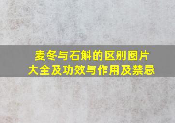 麦冬与石斛的区别图片大全及功效与作用及禁忌