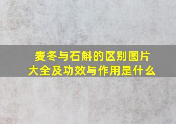 麦冬与石斛的区别图片大全及功效与作用是什么