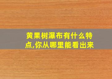 黄果树瀑布有什么特点,你从哪里能看出来