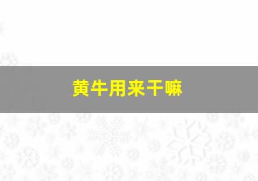 黄牛用来干嘛