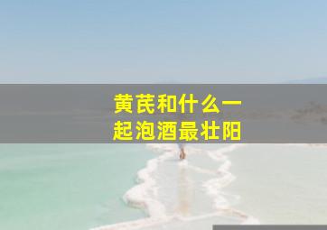 黄芪和什么一起泡酒最壮阳